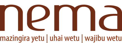 logo nema e1780551047657.png